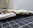 HTC One X entra em combustão espontânea, mas dono passa bem