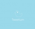 Tweetium para Windows Phone recebe update com dezenas de melhorias e correções