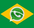 Telegram com inveja: brasileiros elegem WhatsApp como app mais seguro para trocar mensagens